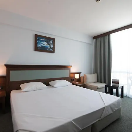 酒店 狮阳海滩酒店 阳光海滩